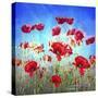 Poppy Flowers Field-Ata Alishahi-Stretched Canvas