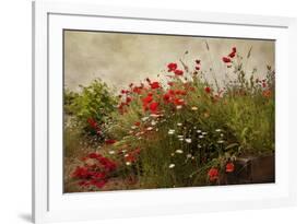 Poppy Garden-David Winston-Framed Art Print