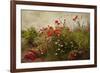 Poppy Garden-David Winston-Framed Art Print