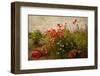 Poppy Garden-David Winston-Framed Giclee Print