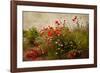 Poppy Garden-David Winston-Framed Giclee Print