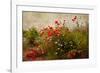 Poppy Garden-David Winston-Framed Giclee Print