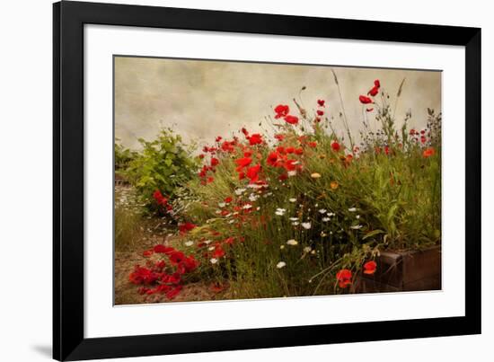 Poppy Garden-David Winston-Framed Giclee Print