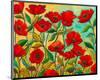 Poppy Garden-Peggy Davis-Mounted Art Print