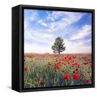 Poppy Garden-Ata Alishahi-Framed Stretched Canvas