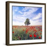 Poppy Garden-Ata Alishahi-Framed Giclee Print