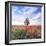 Poppy Garden-Ata Alishahi-Framed Giclee Print