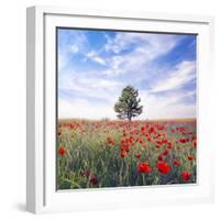 Poppy Garden-Ata Alishahi-Framed Giclee Print