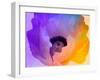 Poppy Gradient III-null-Framed Giclee Print