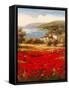 Poppy Harbor-Marino-Framed Stretched Canvas