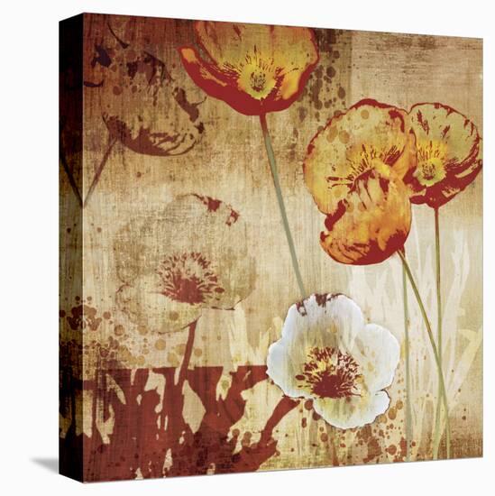 Poppy Heat I-Tandi Venter-Stretched Canvas