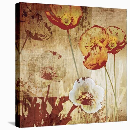 Poppy Heat I-Tandi Venter-Stretched Canvas