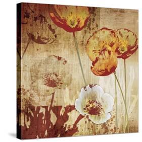 Poppy Heat I-Tandi Venter-Stretched Canvas