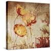 Poppy Heat II-Tandi Venter-Stretched Canvas