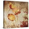 Poppy Heat II-Tandi Venter-Stretched Canvas