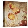 Poppy Heat II-Tandi Venter-Stretched Canvas