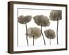 Poppy Heights-Assaf Frank-Framed Giclee Print