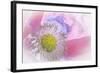 Poppy High Key I-Kathy Mahan-Framed Photographic Print