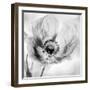 Poppy High Key I-Irene Weisz-Framed Photo