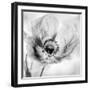 Poppy High Key I-Irene Weisz-Framed Photo