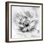 Poppy High Key II-Irene Weisz-Framed Photo