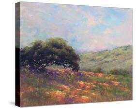 Poppy Hill-Alice Weil-Stretched Canvas