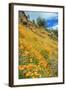 Poppy Hillside at Merced River Canyon-Vincent James-Framed Photographic Print