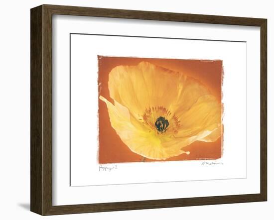 Poppy I-Amy Melious-Framed Art Print