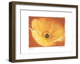 Poppy I-Amy Melious-Framed Art Print