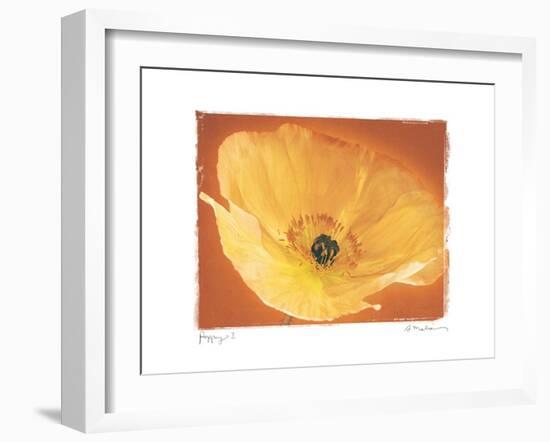 Poppy I-Amy Melious-Framed Art Print