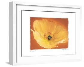 Poppy I-Amy Melious-Framed Art Print