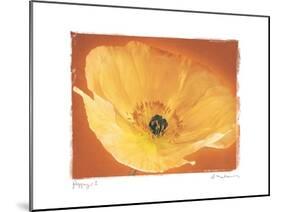 Poppy I-Amy Melious-Mounted Art Print