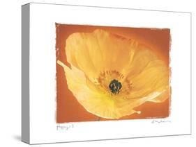 Poppy I-Amy Melious-Stretched Canvas