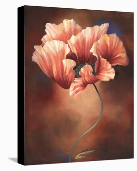 Poppy II-Louise Montillio-Stretched Canvas