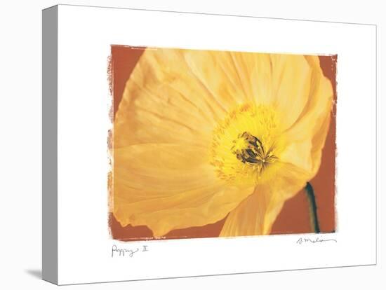Poppy II-Amy Melious-Stretched Canvas