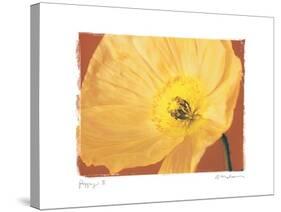 Poppy II-Amy Melious-Stretched Canvas