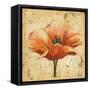 Poppy III-Patricia Pinto-Framed Stretched Canvas