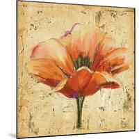 Poppy III-Patricia Pinto-Mounted Art Print