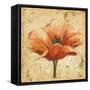 Poppy III-Patricia Pinto-Framed Stretched Canvas