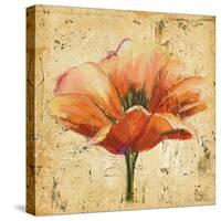 Poppy III-Patricia Pinto-Stretched Canvas