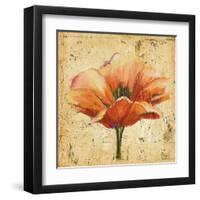 Poppy III-Patricia Pinto-Framed Art Print