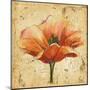 Poppy III-Patricia Pinto-Mounted Art Print