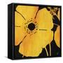 Poppy III-Rikki Drotar-Framed Stretched Canvas