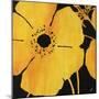 Poppy III-Rikki Drotar-Mounted Giclee Print