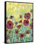 Poppy Impressions II-Jennifer Goldberger-Framed Stretched Canvas