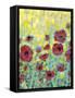 Poppy Impressions II-Jennifer Goldberger-Framed Stretched Canvas