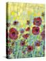 Poppy Impressions II-Jennifer Goldberger-Stretched Canvas