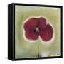 Poppy in my diary-Nancy Moniz Charalambous-Framed Stretched Canvas