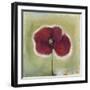 Poppy in my diary-Nancy Moniz Charalambous-Framed Giclee Print