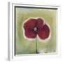 Poppy in my diary-Nancy Moniz Charalambous-Framed Giclee Print